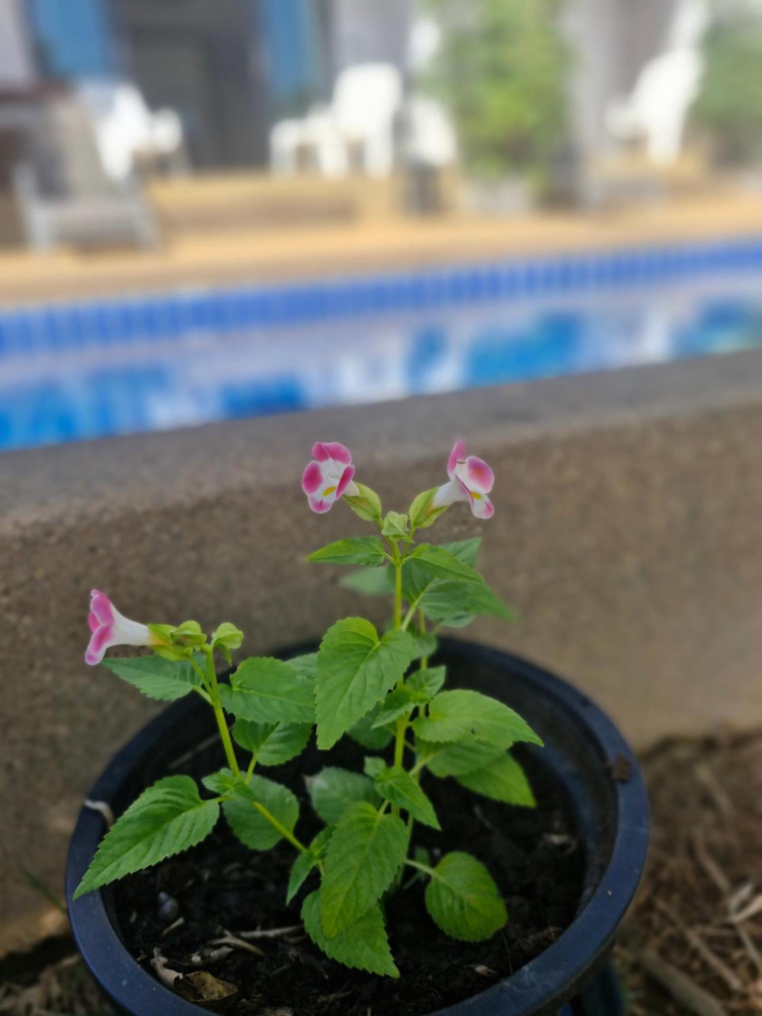 Bea Privileged Apartment شاطئ لاماي المظهر الخارجي الصورة